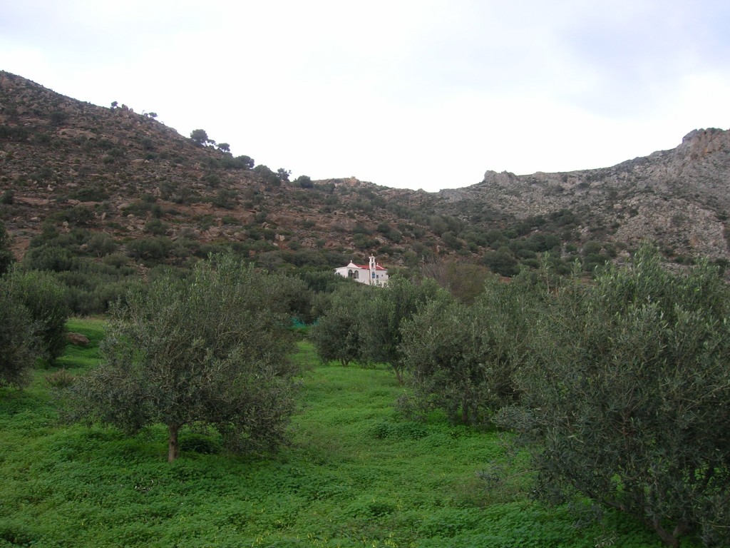 DSCN7712