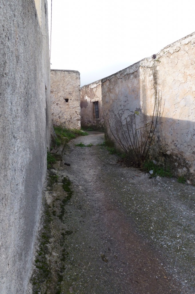 P1030167